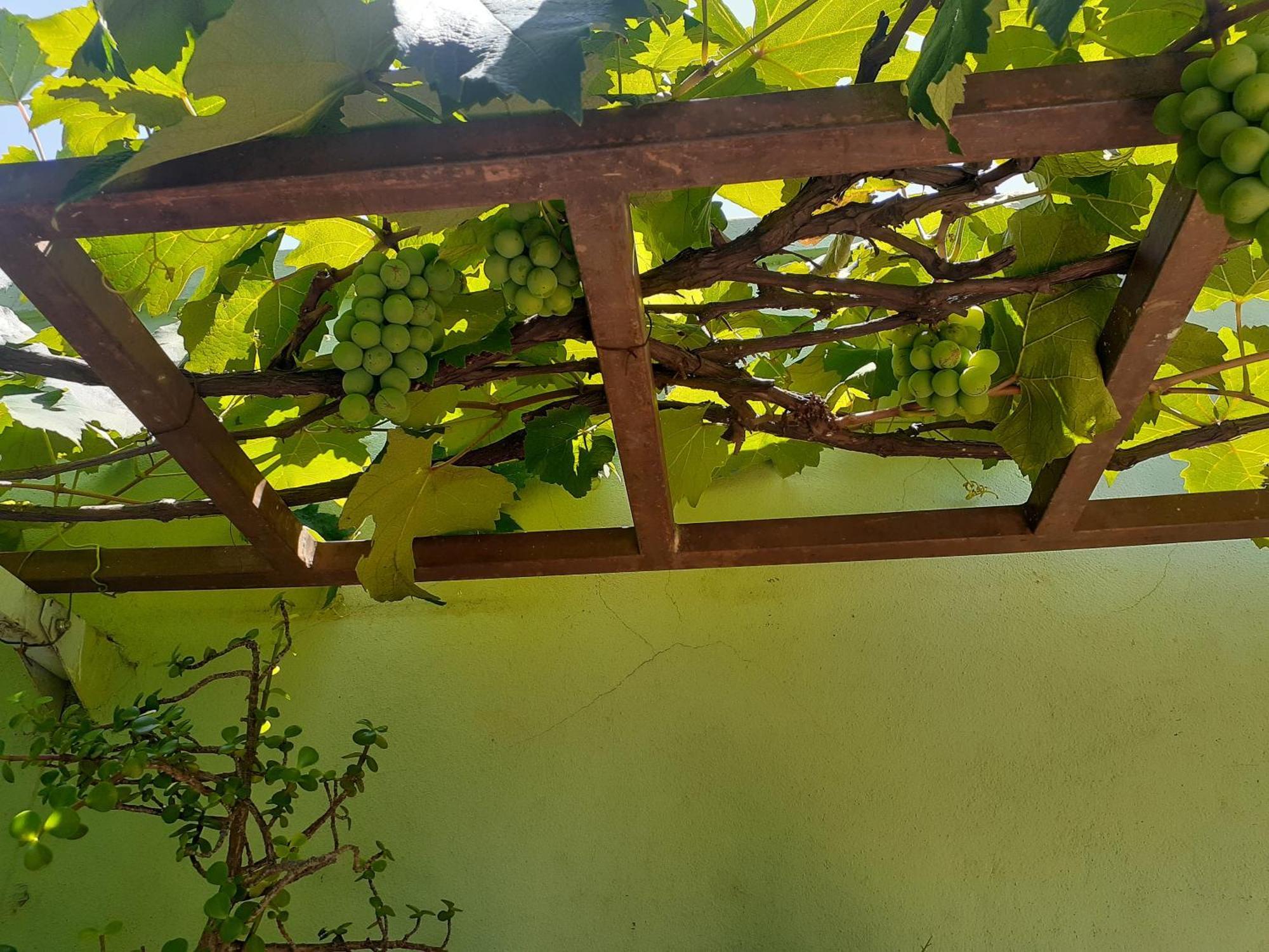 Hotel Solar Limeira